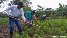 ACICAFOC: agrodiversidad en Centroamérica con cooperación alemana