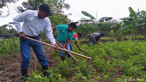 La producción de atarrayas sigue presente como actividad económica, en Pino  Suárez Zontecomatlán – La Voz Campesina – Radio Huaya