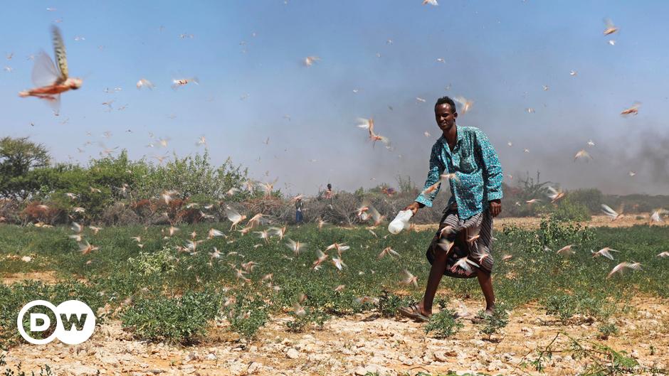 Como a África paga pelas emissões dos outros