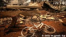 SYDNEY, AUSTRALIA - DECEMBER 21: A burnt bicycle lies on the ground in front of a house recently destroyed by bushfires on the outskirts of the town of Bargo on December 21, 2019 in Sydney, Australia. A catastrophic fire danger warning has been issued for the greater Sydney region, the Illawarra and southern ranges as hot, windy conditions continue to hamper firefighting efforts across NSW. NSW Premier Gladys Berejiklian declared a state of emergency on Thursday, the second state of emergency declared in NSW since the start of the bushfire season. (Photo by David Gray/Getty Images)