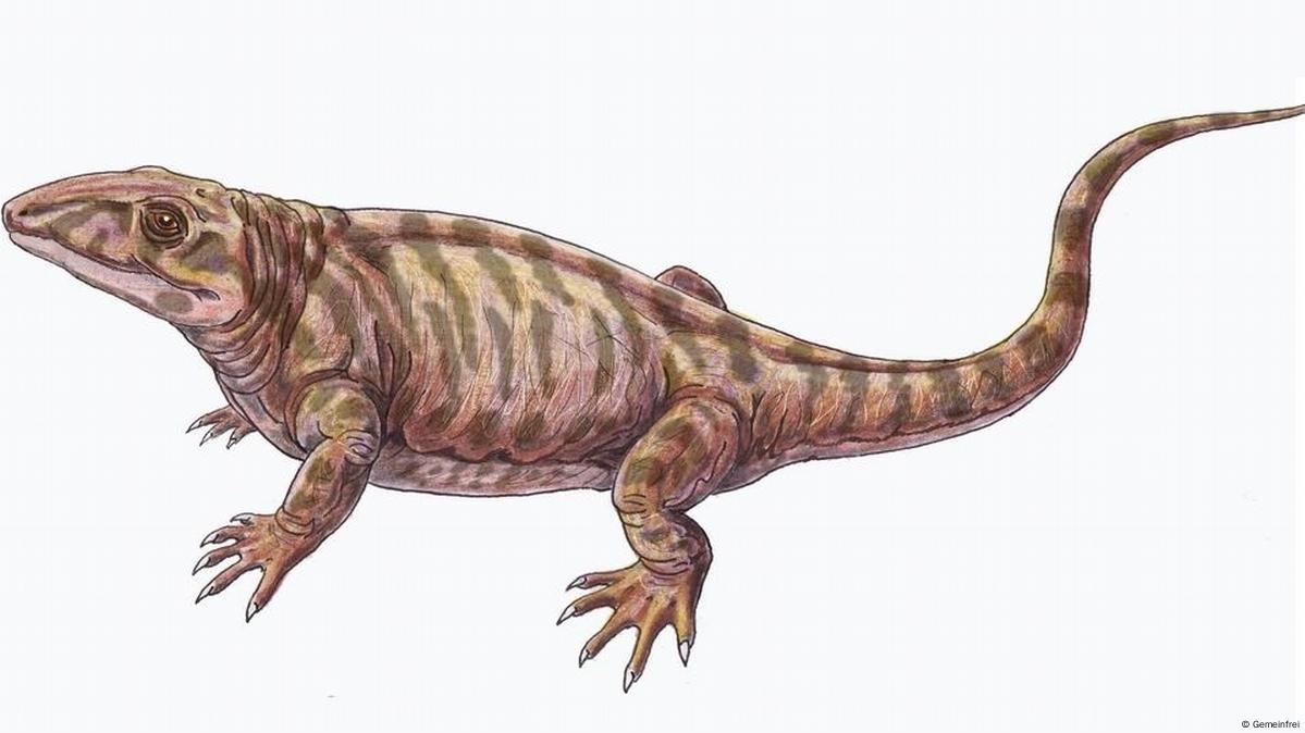 Why we think that some extinct giant flying reptiles cared for their young