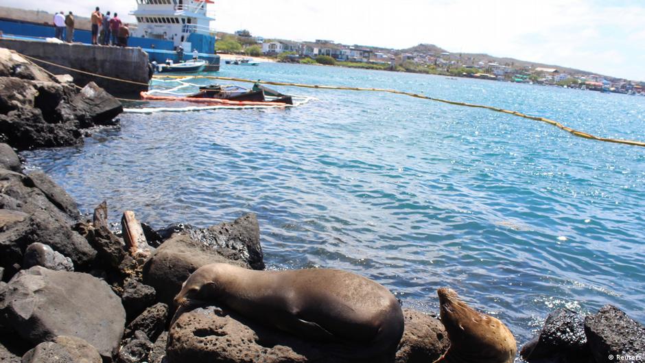 Galapagos wildlife spared in oil spill DW 12/24/2019