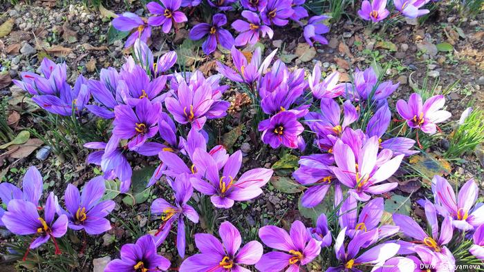 Хасан Тахиров е на 69 и науми ли си нещо, не