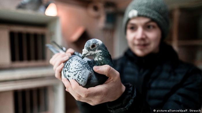 27-летний житель города Камен в Рурской области Марсель Краузе в своей голубятне 