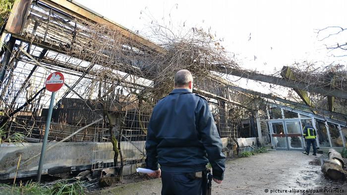 Police outside the burned remains of the ape enclosure at Krefeld Zoo