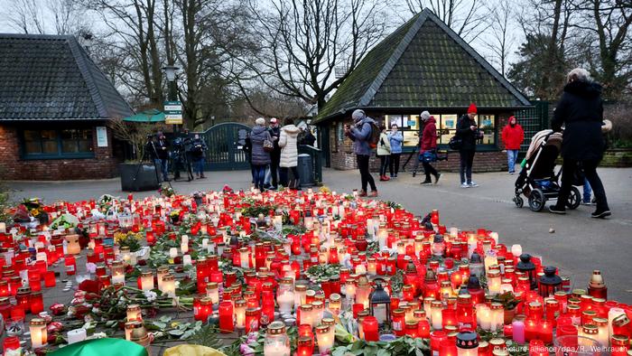 Zoo Krefeld: Ein Jahr Nach Dem Brand Im Affenhaus | Deutschland | DW ...