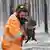 Врятована під час пожежі в австралії коала