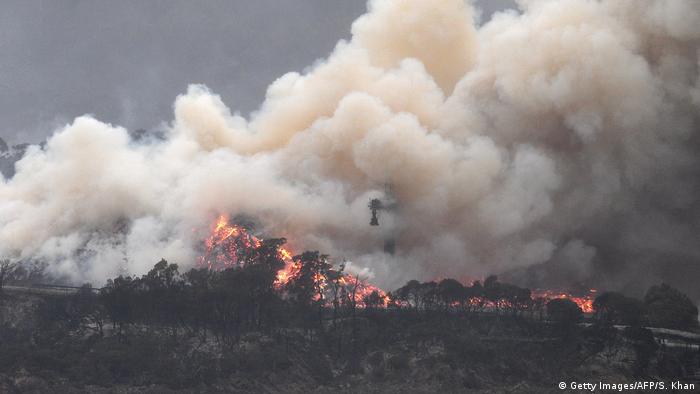 Waldbrände / Buschbrände in Australien (Getty Images/AFP/S. Khan)