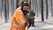 BdTD Australien Waldbrände - Rettung eines Koalas BdTD Australien Waldbrände - Rettung eines Koalas