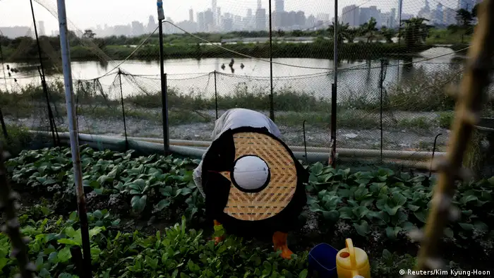 Bildergalerie Grenzgebiet zwischen China und Hongkong (Reuters/Kim Kyung-Hoon)