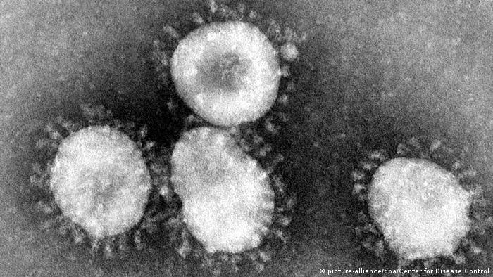 China mysteriöse Lungenkrankheit - Coronavirus (picture-alliance/dpa/Center for Disease Control)