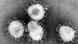China mysteriöse Lungenkrankheit - Coronavirus China mysteriöse Lungenkrankheit - Coronavirus