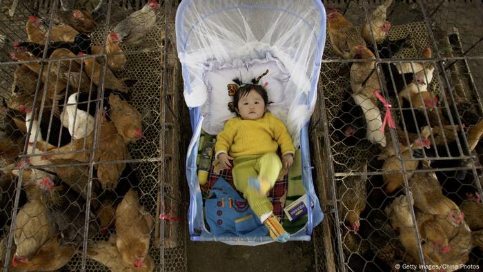 A baby in the middle of the poultry cages 