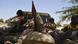 Symbolbilder Niger Armee Symbolbilder Niger Armee