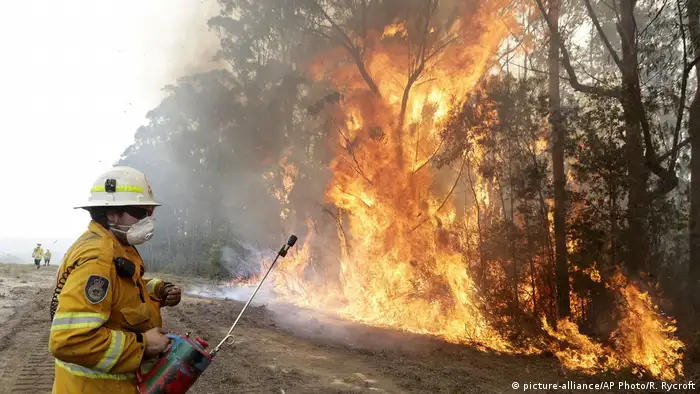 Australien Waldbrände | Feuerwehr (picture-alliance/AP Photo/R. Rycroft)