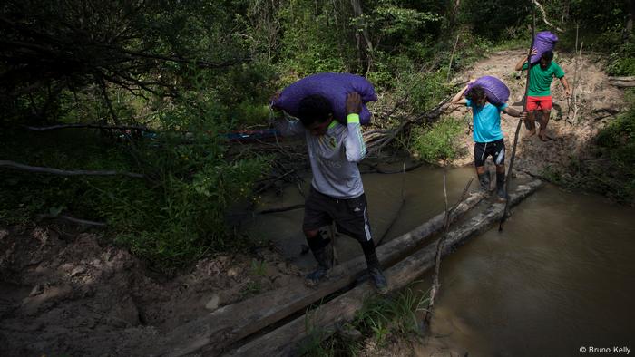 Es necesario superar varias dificultades a través del bosque para hacer el transporte.