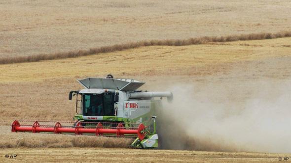 Ein Maehdrescher faehrt am Mittwoch, 13. August 2008, bei Arnstadt. Das wechselhafte Sommerwetter soll auch waehrend der naechsten Tage weiter anhalten. (AP Photo/Jens Meyer) --- A combine harvester drives on a grain field near Arnstadt, Germany, on Wednesday, Aug. 13, 2008. Weatherforecast prophetes changeable weather conditions in Germany for the upcoming days. (AP Photo/Jens Meyer)