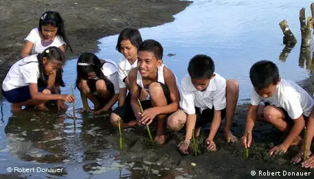 菲律宾的孩子种植红树
