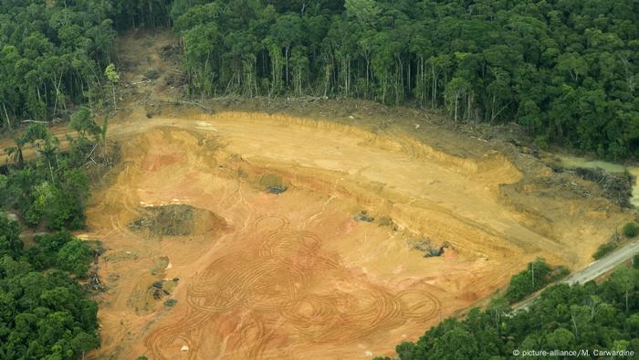 Tala ilegal en el Amazonas, Brasil.