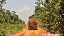 Symbolbild - Rodung - Abholzung - Brasilien- Amazonasgebiet