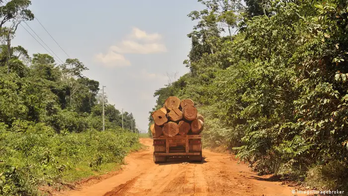 Symbolbild - Rodung - Abholzung - Brasilien- Amazonasgebiet