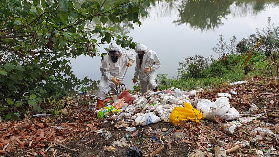 Sampah Popok Mencemari Sungai Brantas Ancaman Bagi Lingkungan Dan Warga Iptek Laporan Seputar Sains Dan Teknologi Dan Lingkungan Dw 24 12 2020