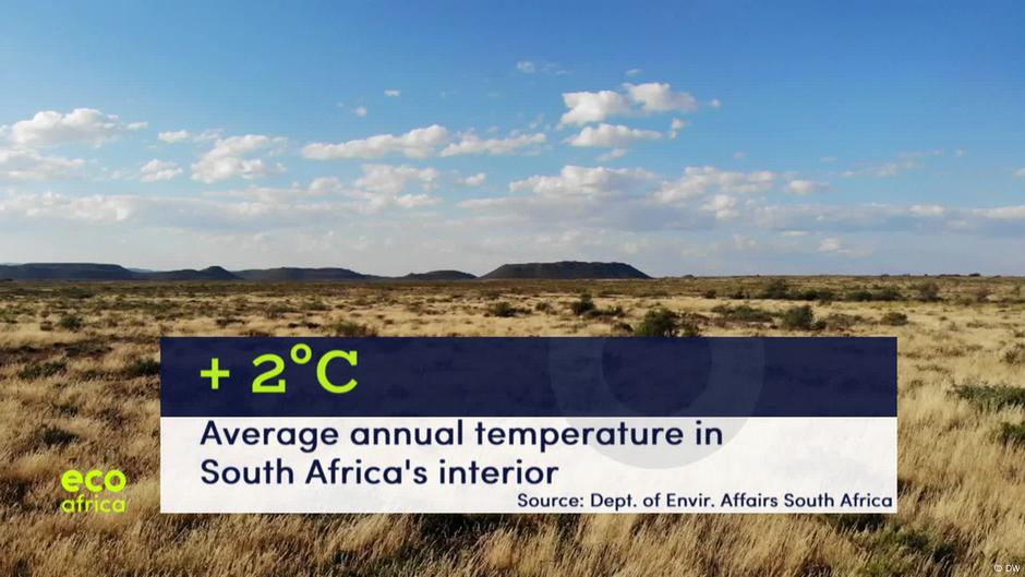 Drought in southern Africa – DW – 01/17/2020