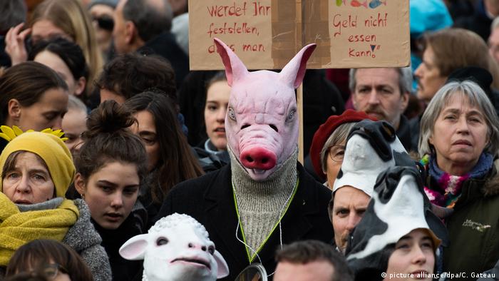Deutschland l Demonstration für Agrarwende in Berlin - Schweinkopf
