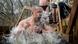 A Christian Orthodox believer plunges into icy water in St Petersburg A Christian Orthodox believer plunges into icy water in St Petersburg
