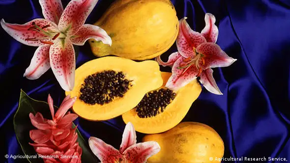 aufgeschnittene Papayas mit Blumenschmuck (Foto: dpa)