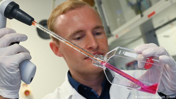 Virologe Sandro Halbe pipettiert in einem Forschungslabor des Instituts für Virologie der Philipps-Universität Marburg Zellkulturmedium.