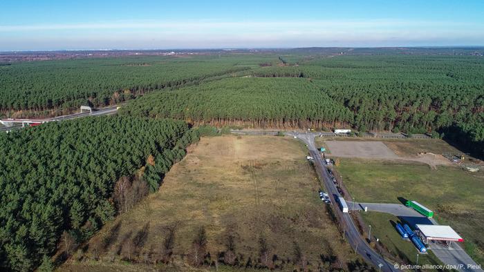 Dozens of hectares of forest were cut down for Tesla's gigafactory 