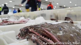 Η αλιεία παραμένει αγκάθι στις σχέσεις του Λονδίνου με την ΕΕ