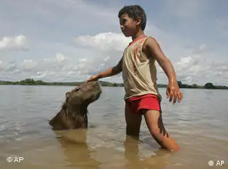 巴西辛古河(Rio Xingu)的一段