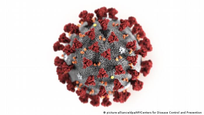 Coronavirus - Illustration (picture-alliance/dpa/AP/enters for Disease Control and Prevention)