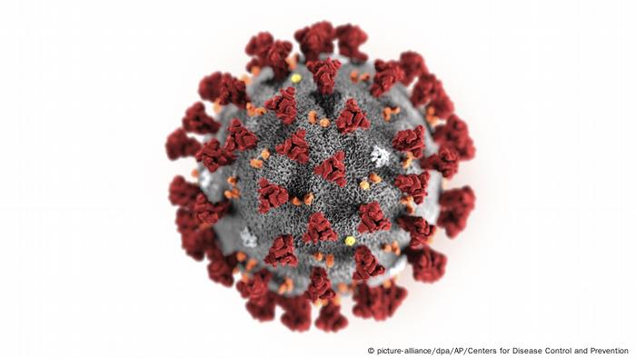 Coronavirus - Illustration (picture-alliance/dpa/AP/enters for Disease Control and Prevention)