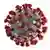 Coronavirus - Illustration (picture-alliance/dpa/AP/enters for Disease Control and Prevention)