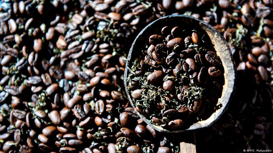 A cup of coffee with climate change DW 05/22/2020