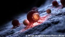 Від COVID-19 до раку і малярії - важлива роль мРНК-вакцин