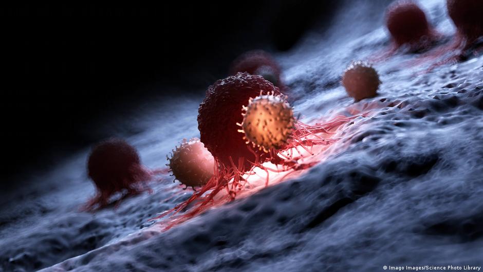 白血球能在mRNA疫苗的幫助下戰勝癌細胞嗎？