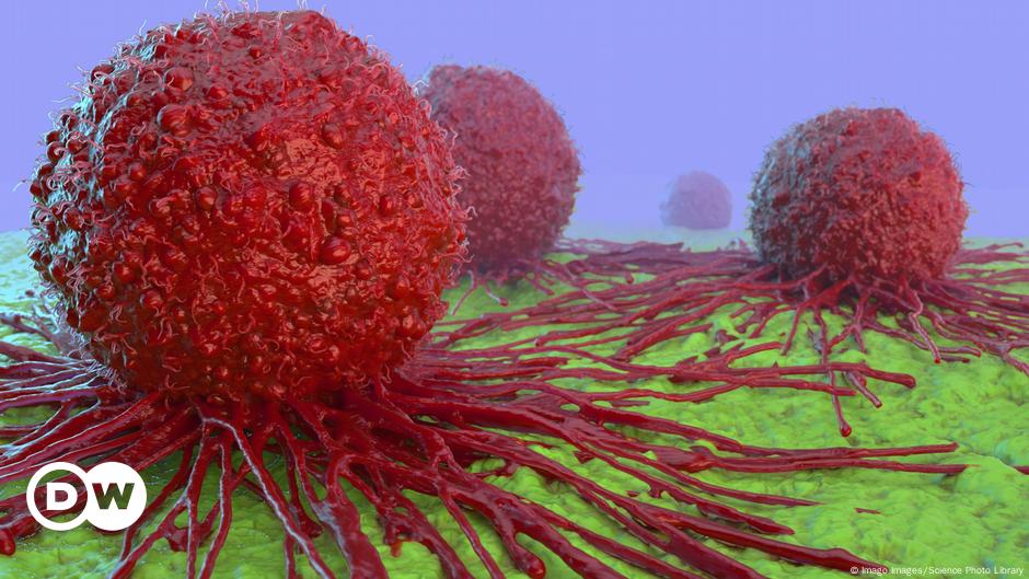 Krebs durch einen Bluttest nachweisen – ist das wirklich möglich?