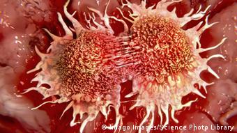 καρκινικά κύτταρα καρκινικά κύτταρα