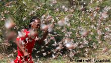 An Ethiopian girl attempts to fend off desert locusts as they fly in a farm on the outskirt of Jijiga in Somali region, Ethiopia January 12, 2020. Picture taken January 12, 2020. REUTERS/Giulia Paravicini