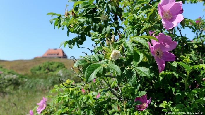 Spikerog Island