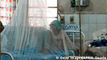 Paraguay reporta seis muertes por dengue 