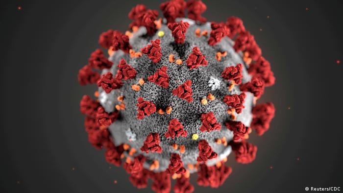 Africa confirms first case of coronavirus | News | DW | 14.02.2020