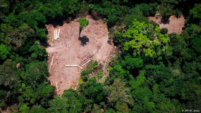Studi Ekosistem Amazon Bisa Hancur Sepenuhnya Kurang Dari 50 Tahun Iptek Laporan Seputar Sains Dan Teknologi Dan Lingkungan Dw 11 03 2020