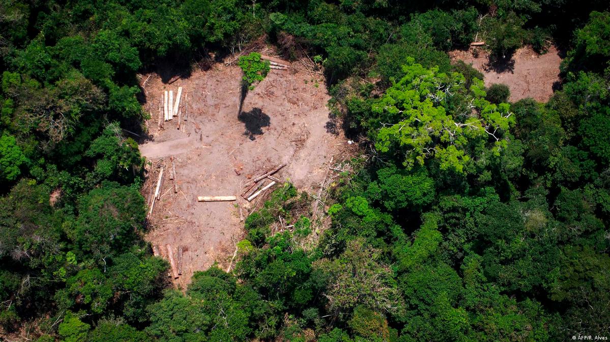 Evolução do desmatamento ao entorno da rodovia BR -230 (Transamazônica).