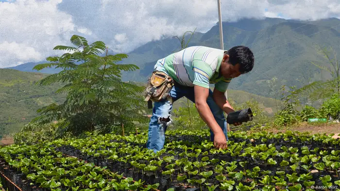 Bolivien Freiwilligendienst