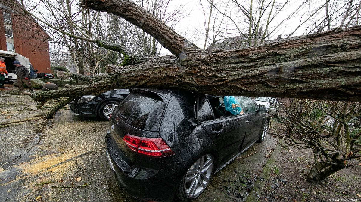 Storm Sabine damage to cost €675 million – DW – 02/18/2020